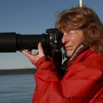 Susan "shooting" whales